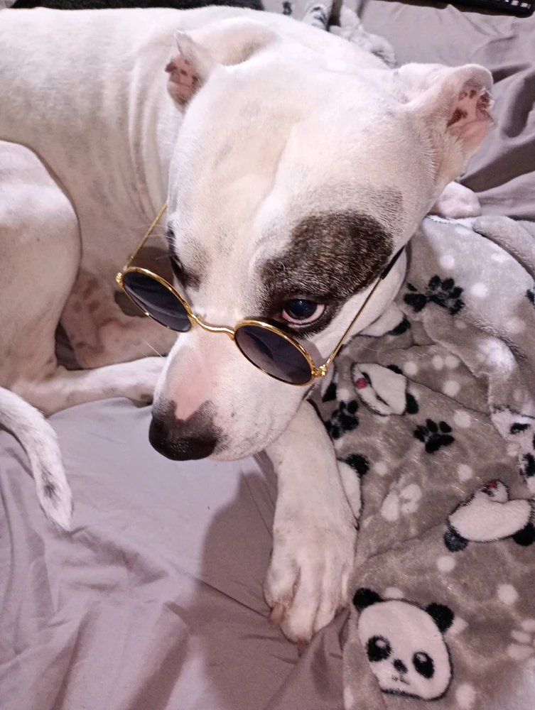 GIF subido por Lyzbeth