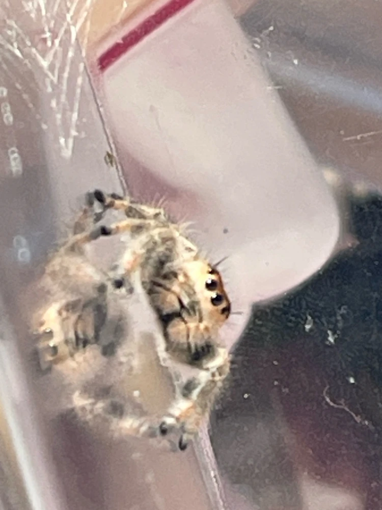 GIF uploaded by Bunny