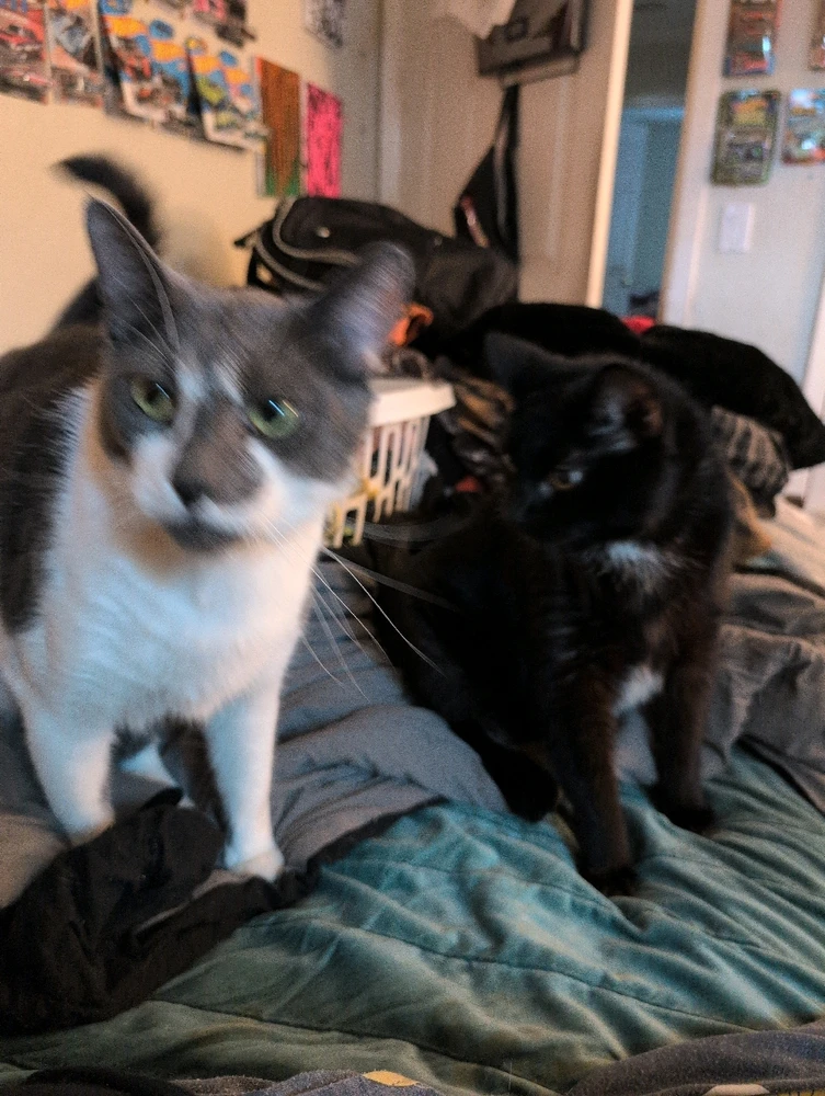 GIF uploaded by Michael