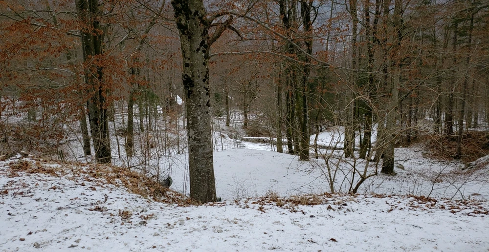 Just a bunch of pictures 🗺🌎

Guess where?