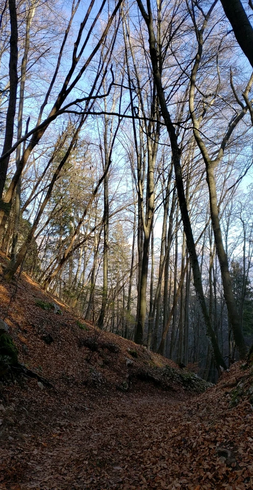 Just a bunch of pictures 🗺🌎

Guess where?