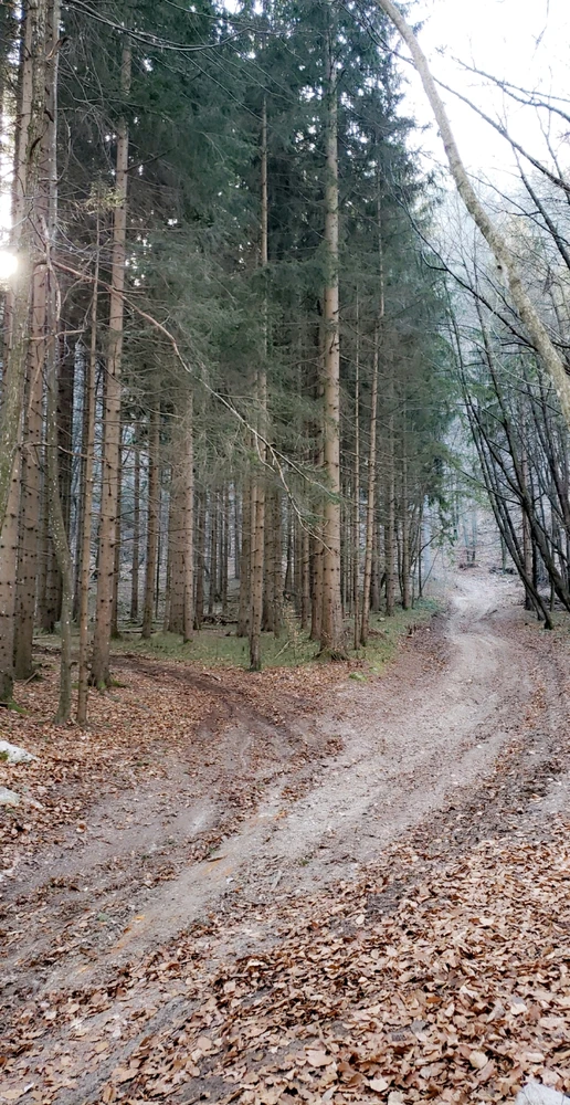 Just a bunch of pictures 🗺🌎

Guess where?