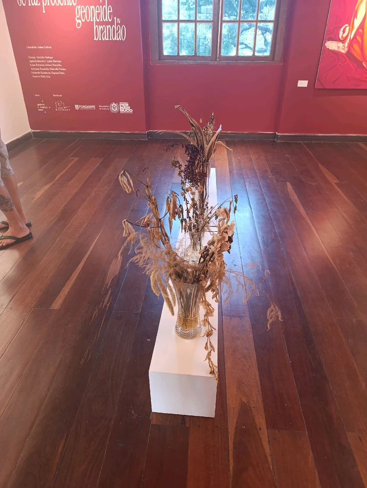 Imagem enviada por Ícaro