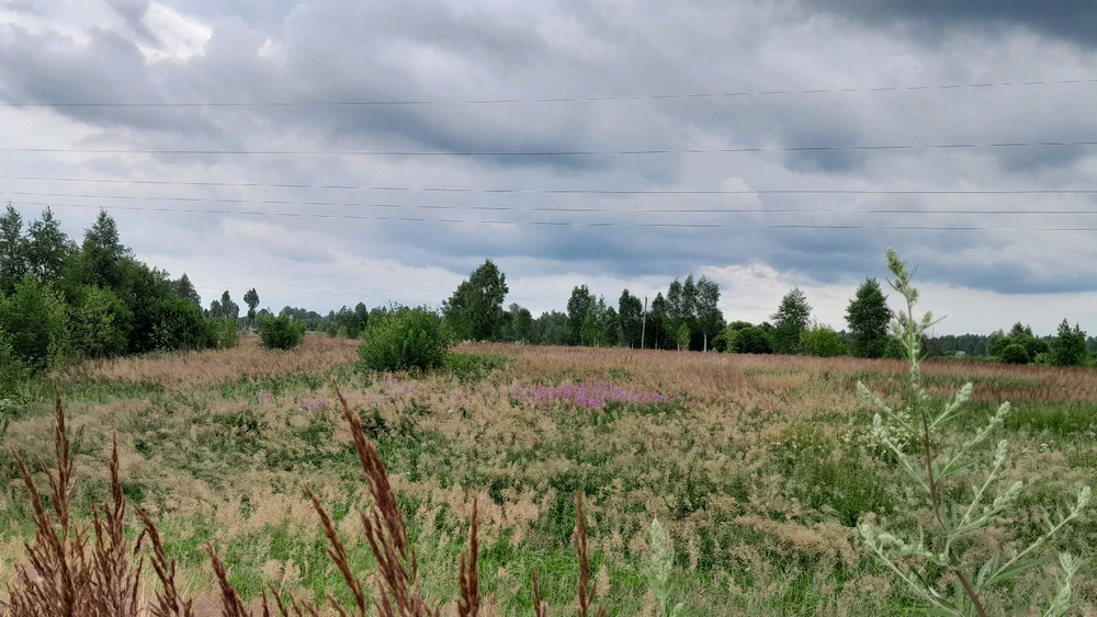 Путешествие в деревню. Из Смоленска в Городище)