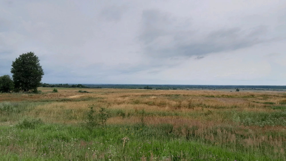 Путешествие в деревню. Из Смоленска в Городище)