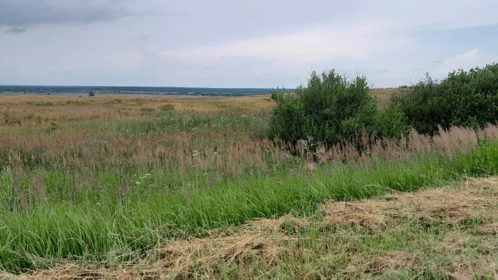 Путешествие в деревню. Из Смоленска в Городище)