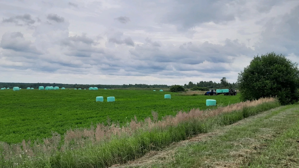 Путешествие в деревню. Из Смоленска в Городище)
