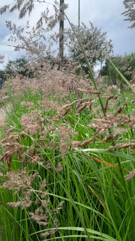 Путешествие в деревню. Из Смоленска в Городище)