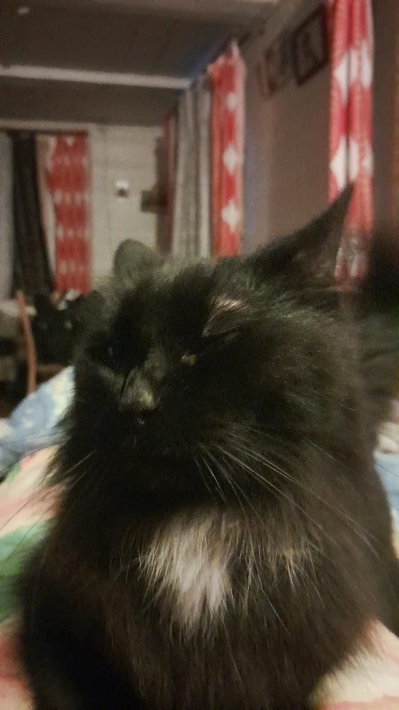 Путешествие в деревню. Из Смоленска в Городище)