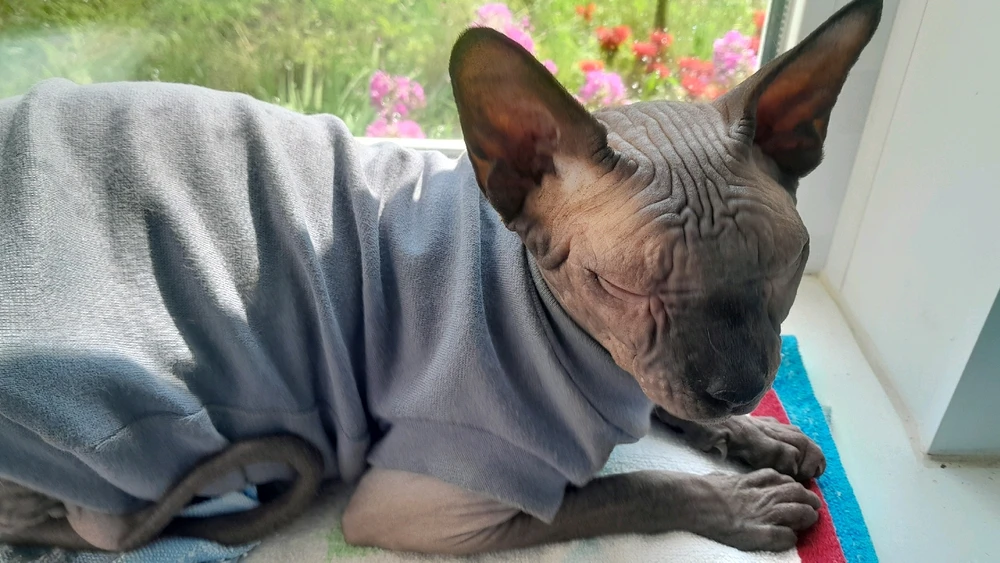 Путешествие в деревню. Из Смоленска в Городище)