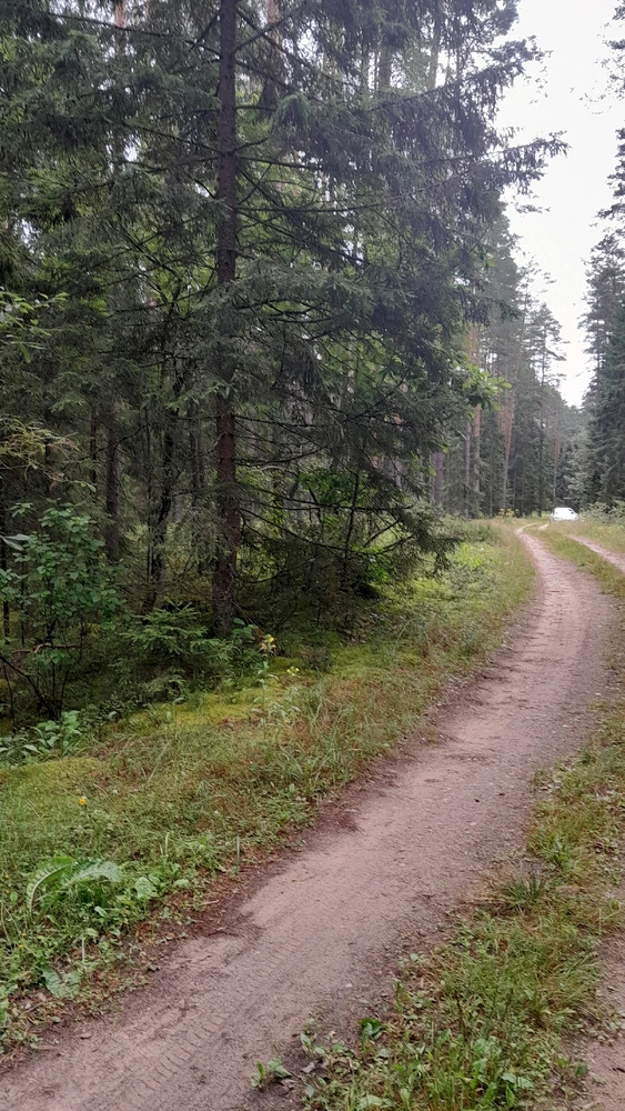 Путешествие в деревню. Из Смоленска в Городище)