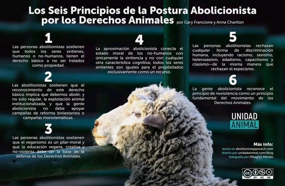 GIF uploaded by Milagros