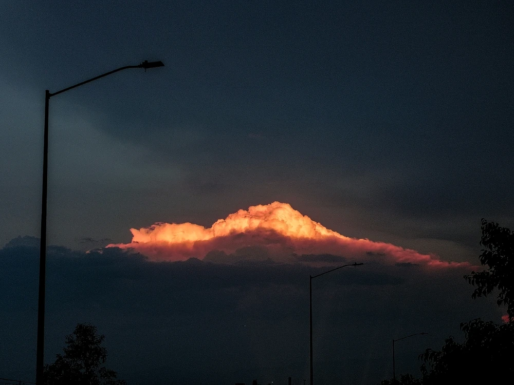 GIF subido por Alejandra