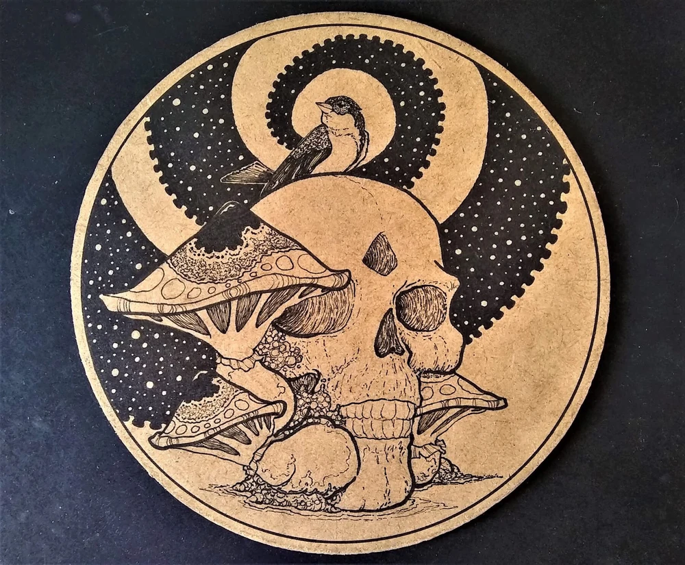 Imagem enviada por Amir Saied