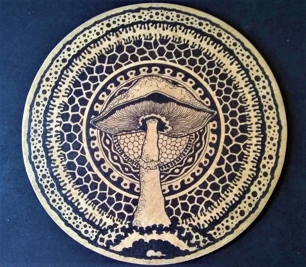 Imagem enviada por Amir Saied