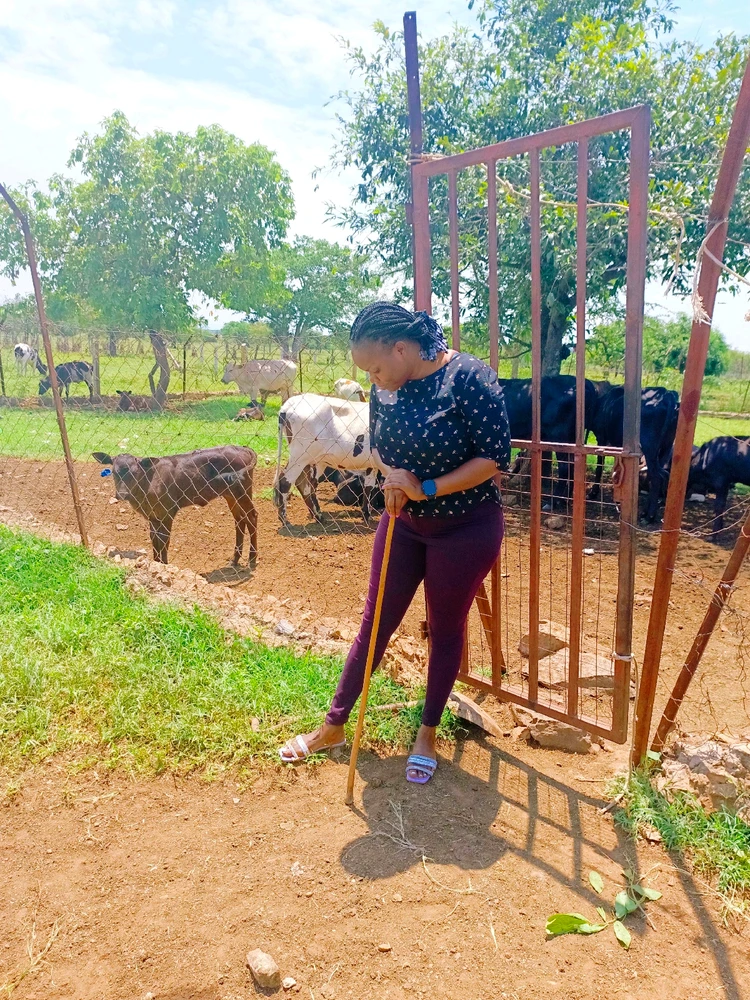 Image uploaded by Carolina