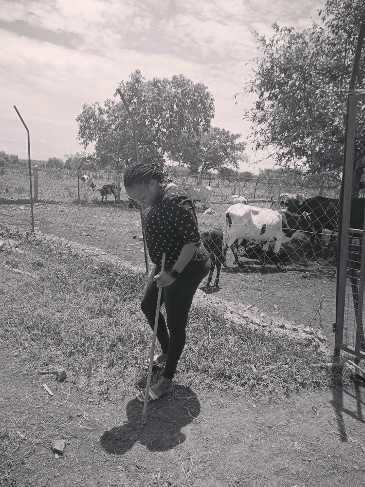 Image uploaded by Carolina