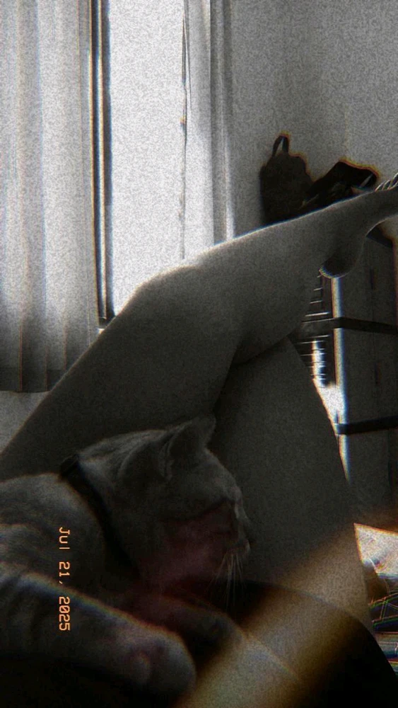 GIF diunggah oleh notyourtype