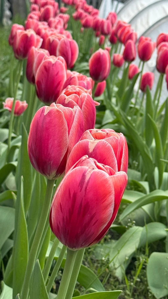 GIF uploaded by Darina