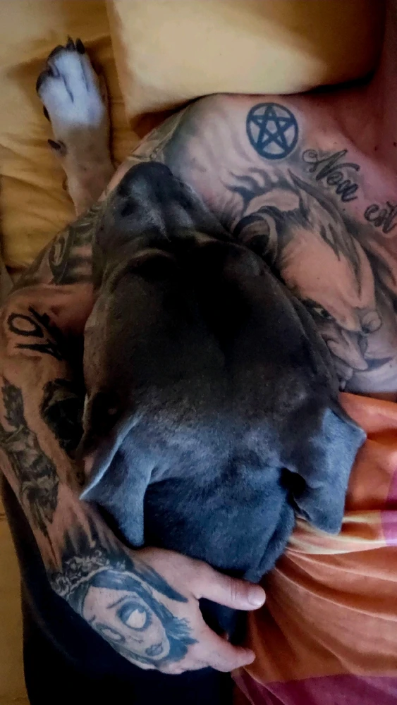 GIF качен от Кирил