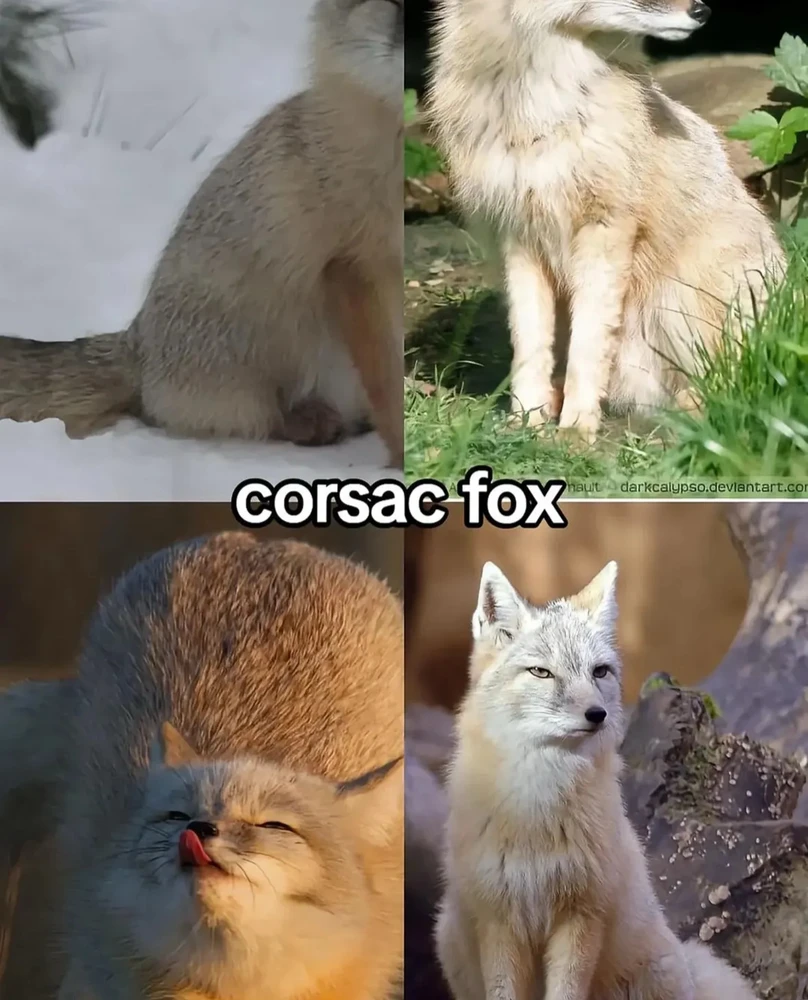 Image uploaded by 🌙✨ℳℯ𝓁𝒶𝓃𝒾𝓆𝓊ℯ✨🌙