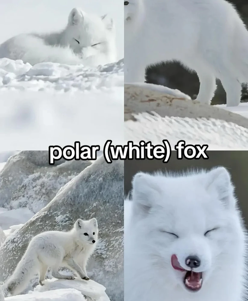 Image uploaded by 🌙✨ℳℯ𝓁𝒶𝓃𝒾𝓆𝓊ℯ✨🌙