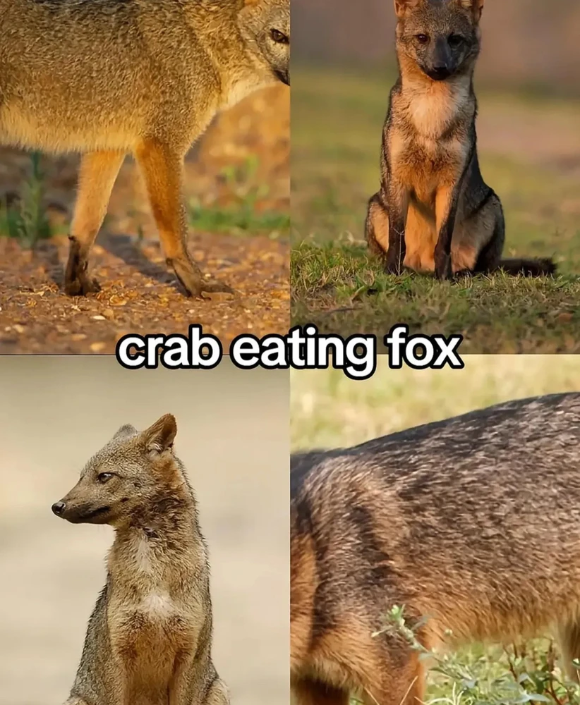 Image uploaded by 🌙✨ℳℯ𝓁𝒶𝓃𝒾𝓆𝓊ℯ✨🌙