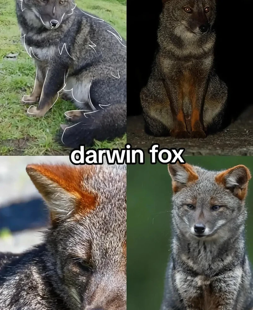 Image uploaded by 🌙✨ℳℯ𝓁𝒶𝓃𝒾𝓆𝓊ℯ✨🌙