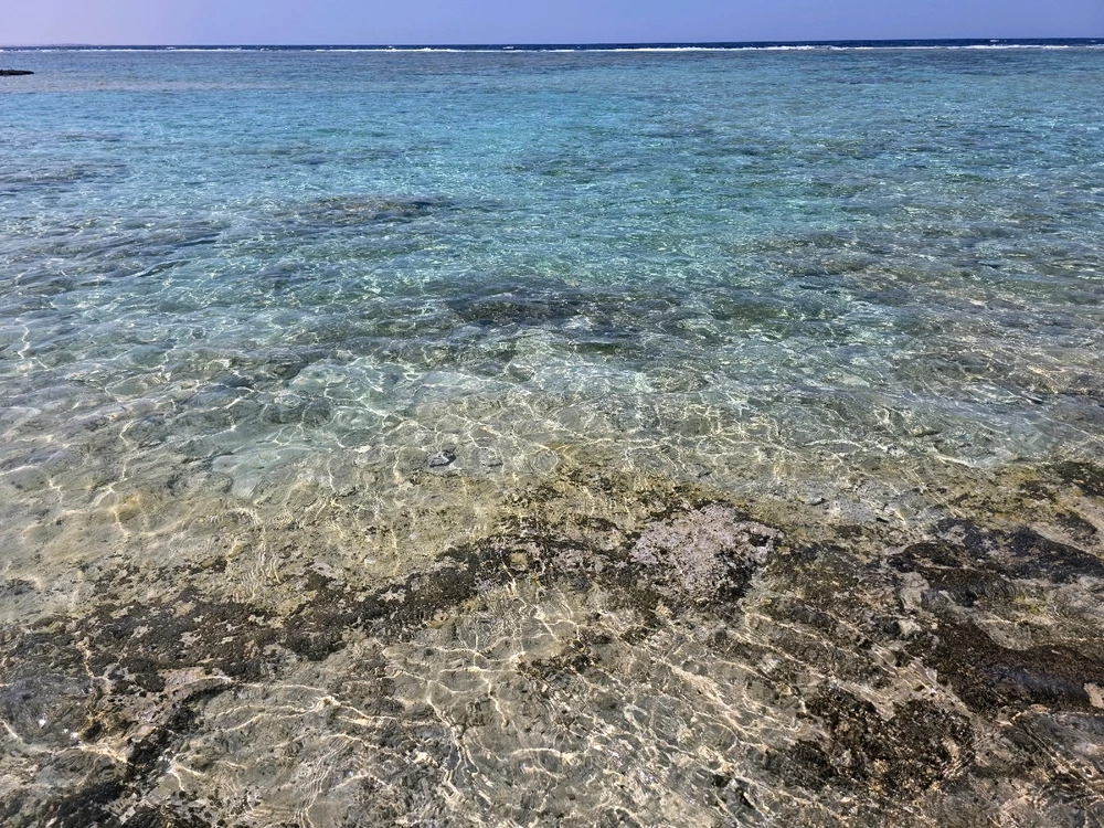 Zdjęcie dodane przez Umberto