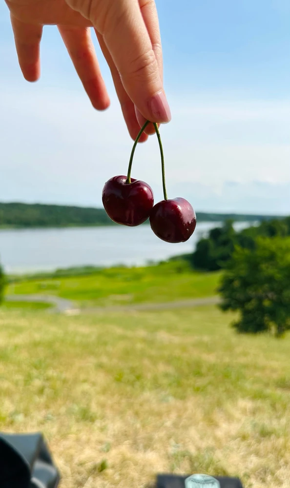 GIF uploaded by Janika