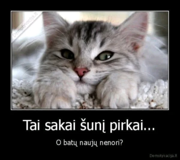 Nuotrauką įkėlė Romualdas