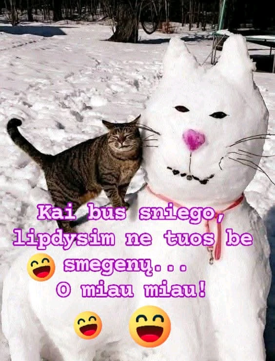 Nuotrauką įkėlė Romualdas