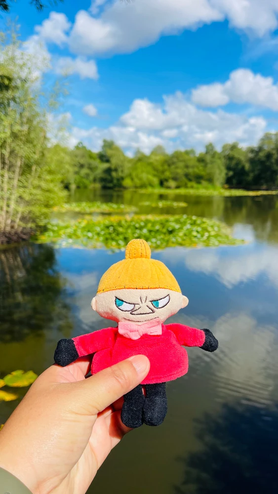 Image uploaded by Sylvia