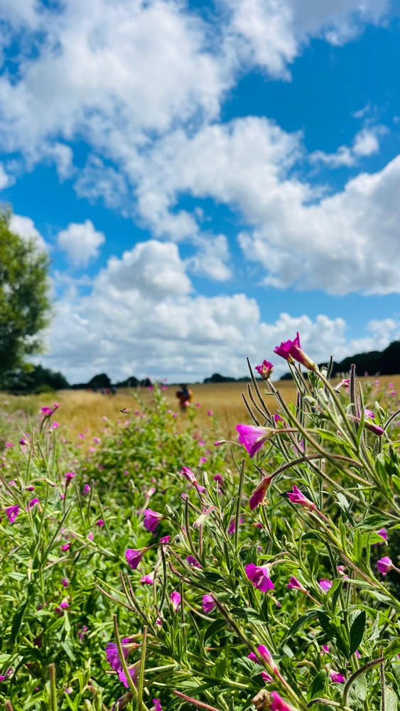 Image uploaded by Sylvia