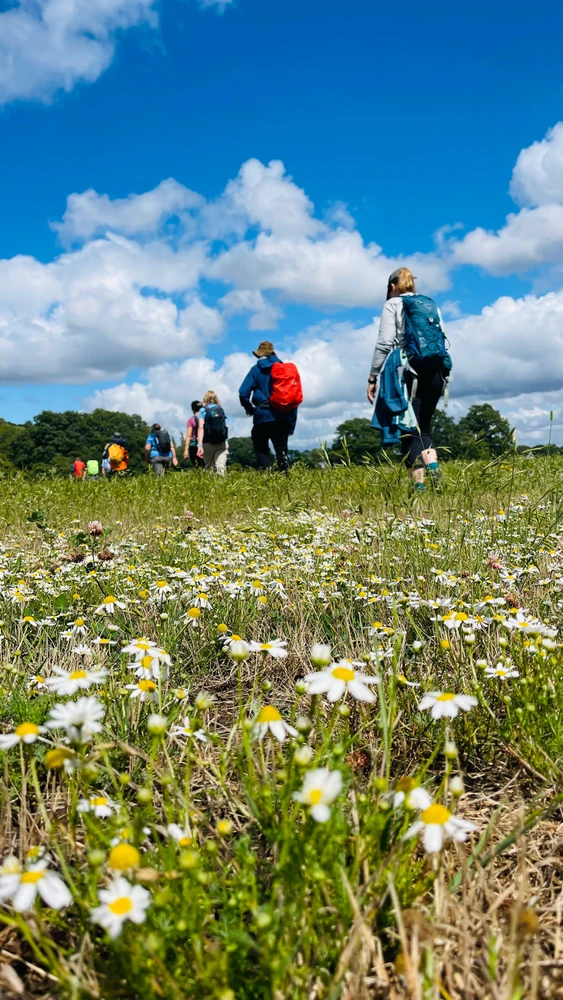 Image uploaded by Sylvia