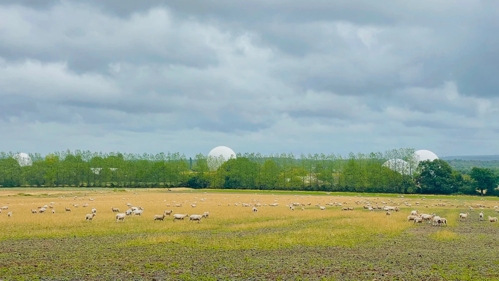 Image uploaded by Sylvia