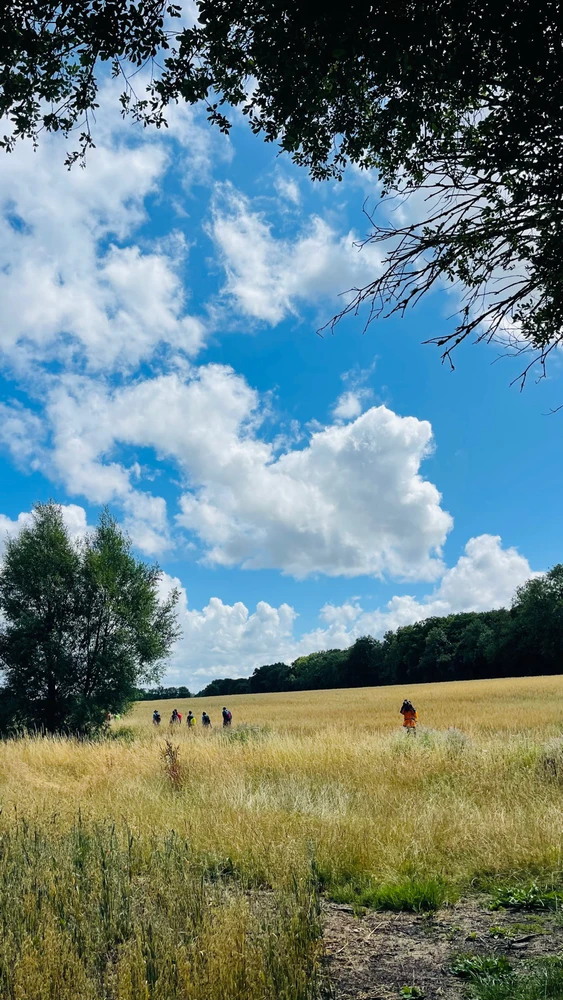 Image uploaded by Sylvia