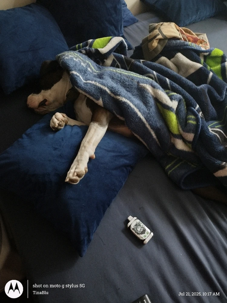 GIF uploaded by Tina