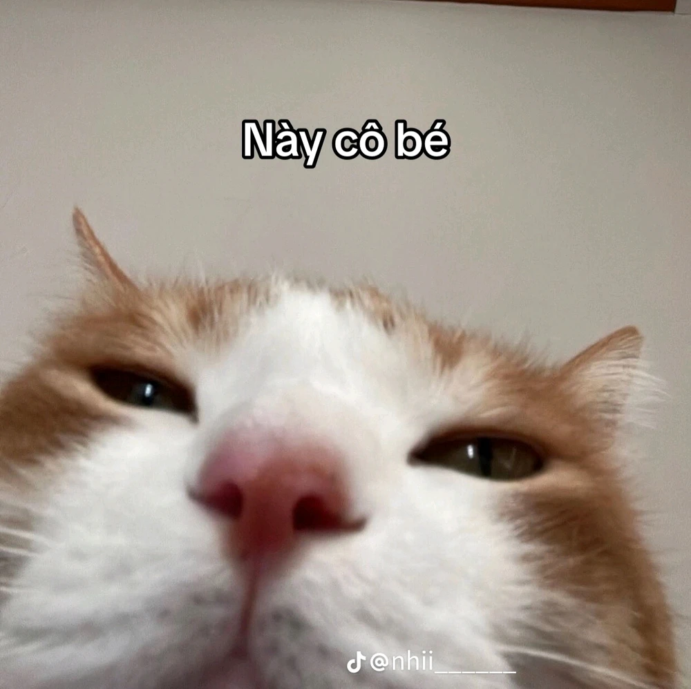 GIF được Khoaaa tải lên