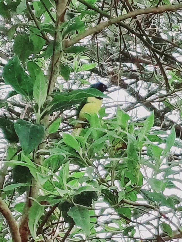 Imagen subida por Isaac