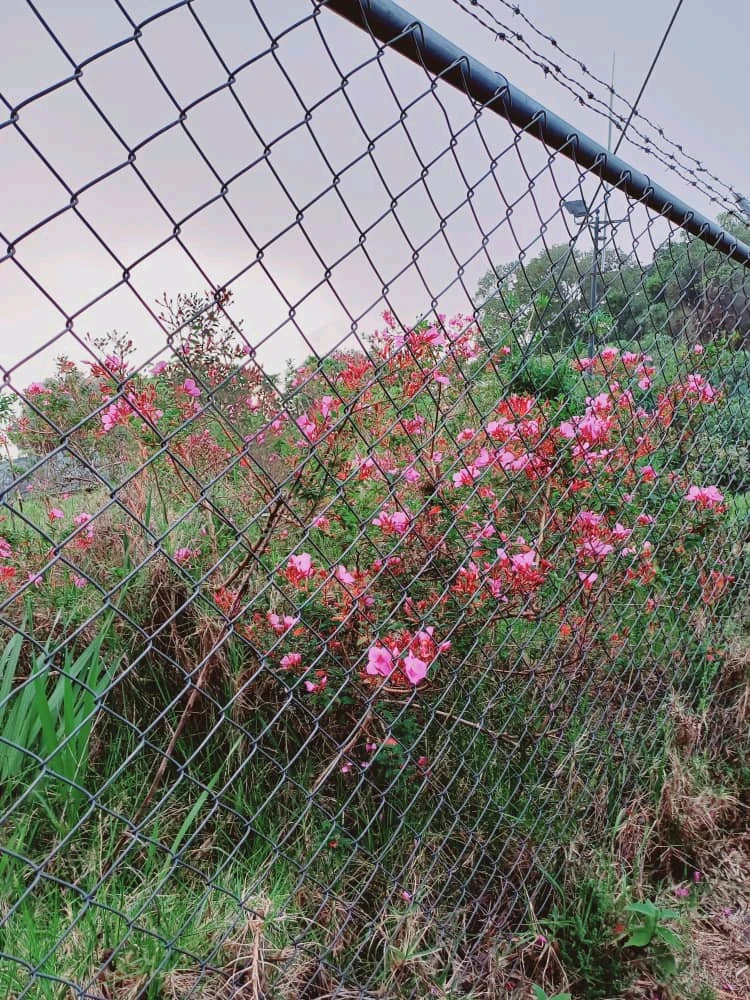 Imagen subida por Isaac