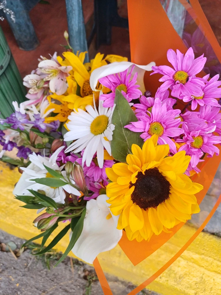 Imagen subida por Isaac