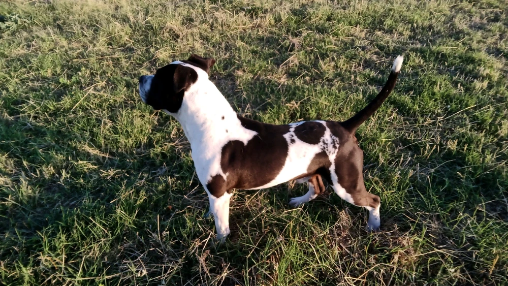 GIF caricata da Samuele