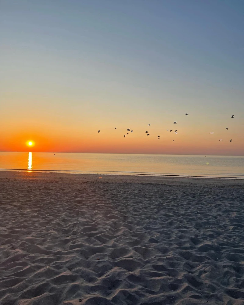 Immagine caricata da Andrea