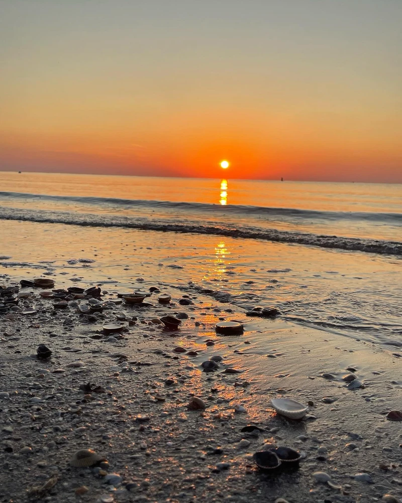 Immagine caricata da Andrea