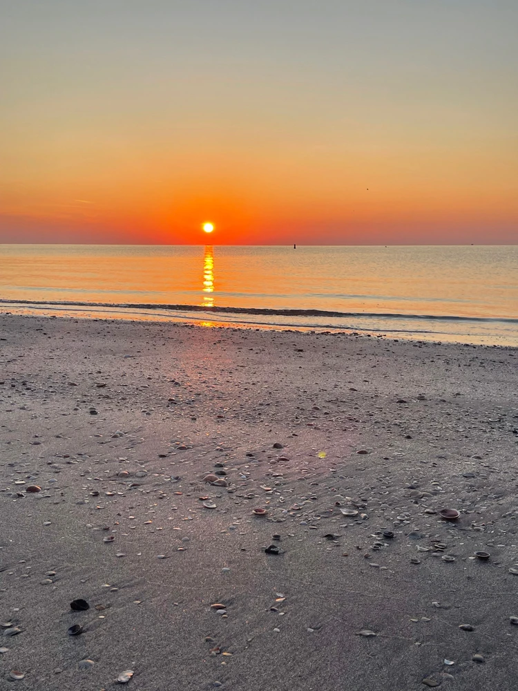 Immagine caricata da Andrea