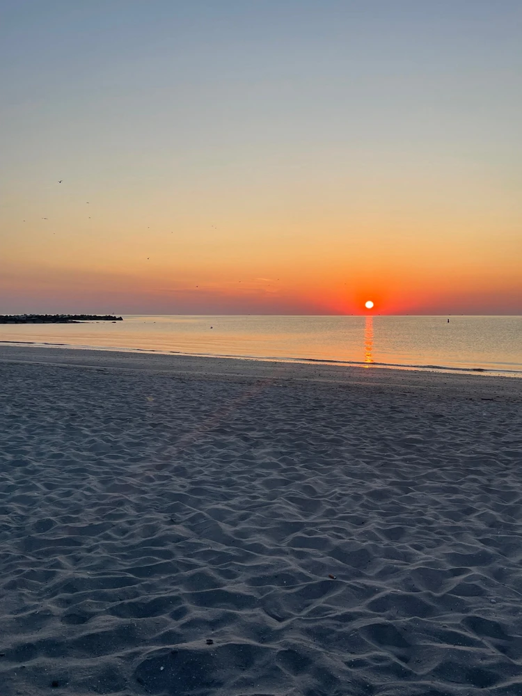 Immagine caricata da Andrea