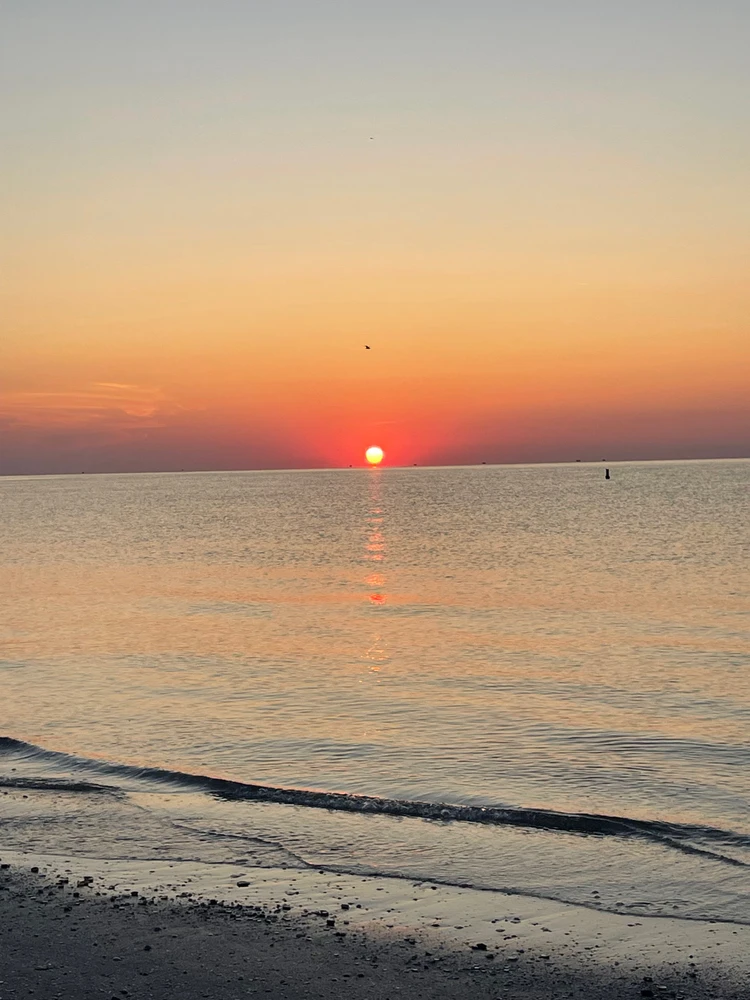 Immagine caricata da Andrea