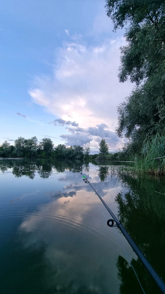 GIF hochgeladen von Michi