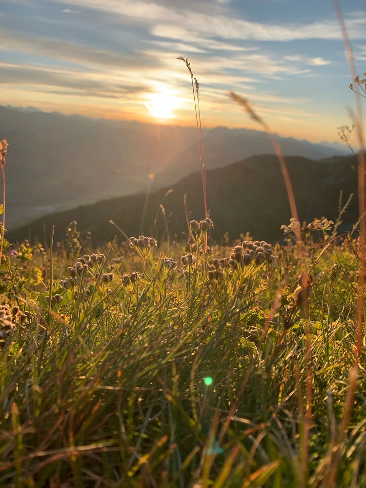 Immagine caricata da Andrea